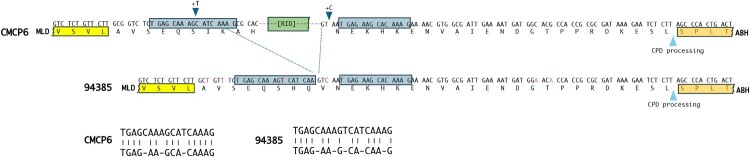 Figure 11