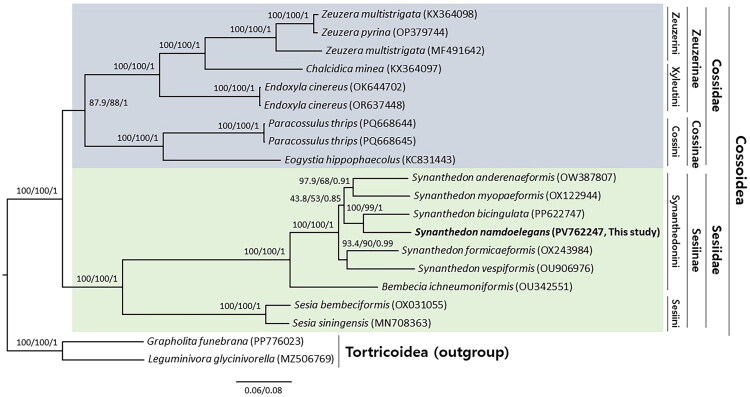 Figure 3