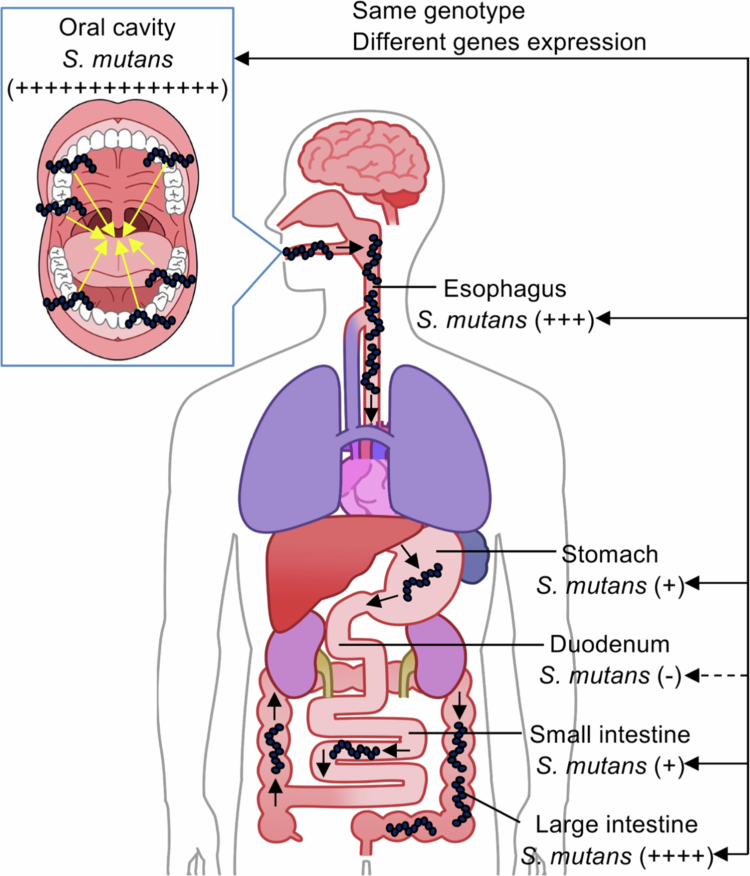 Figure 5