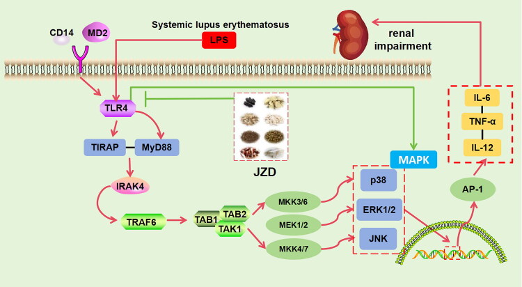 Figure 12