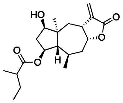 Figure 17