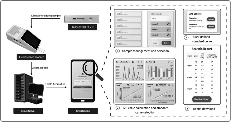 Figure 10
