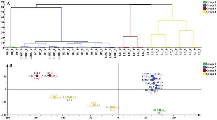 Figure 10