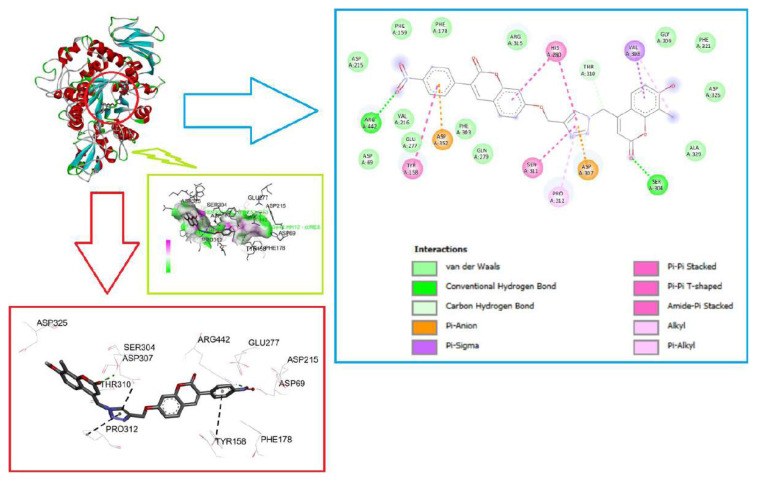 Figure 5