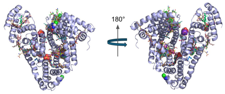 Figure 6