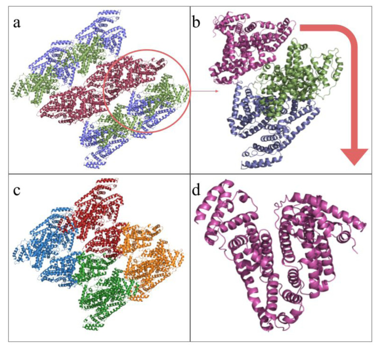 Figure 9