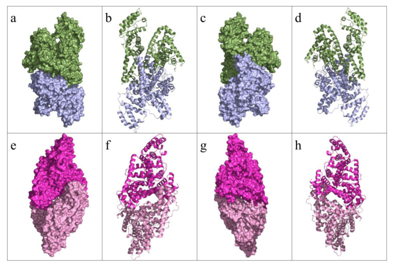 Figure 11