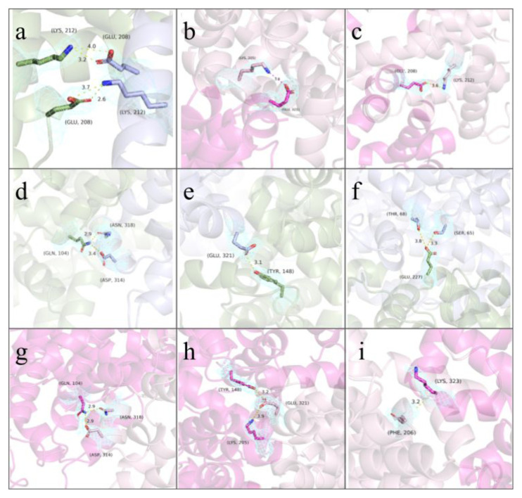 Figure 12