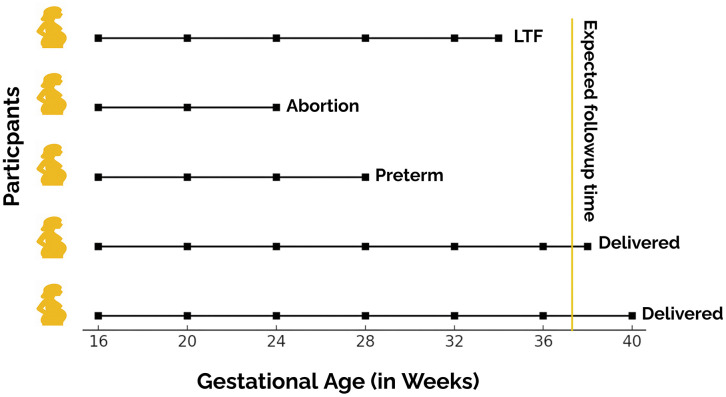 Figure 30