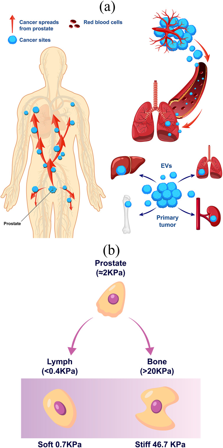Figure 32