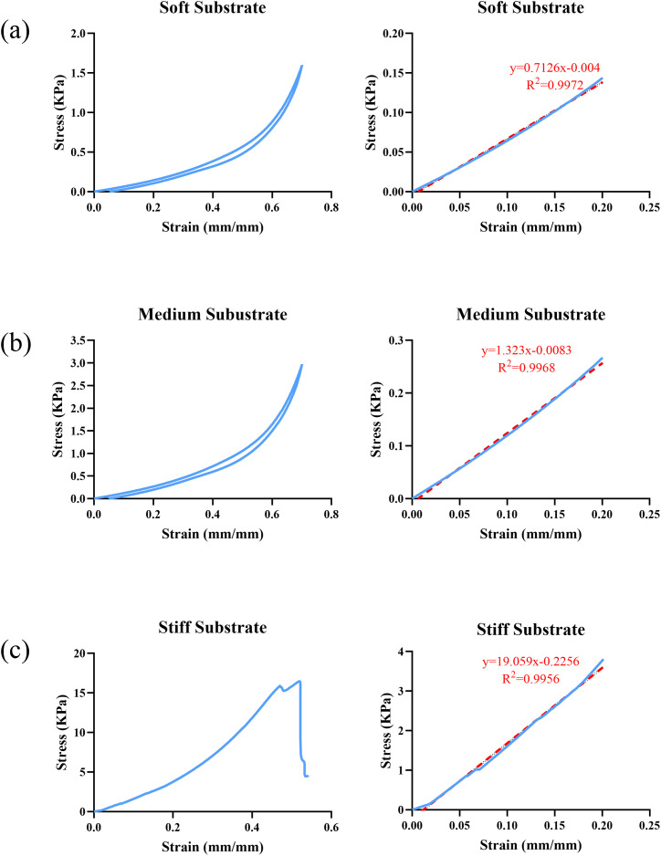 Figure 34