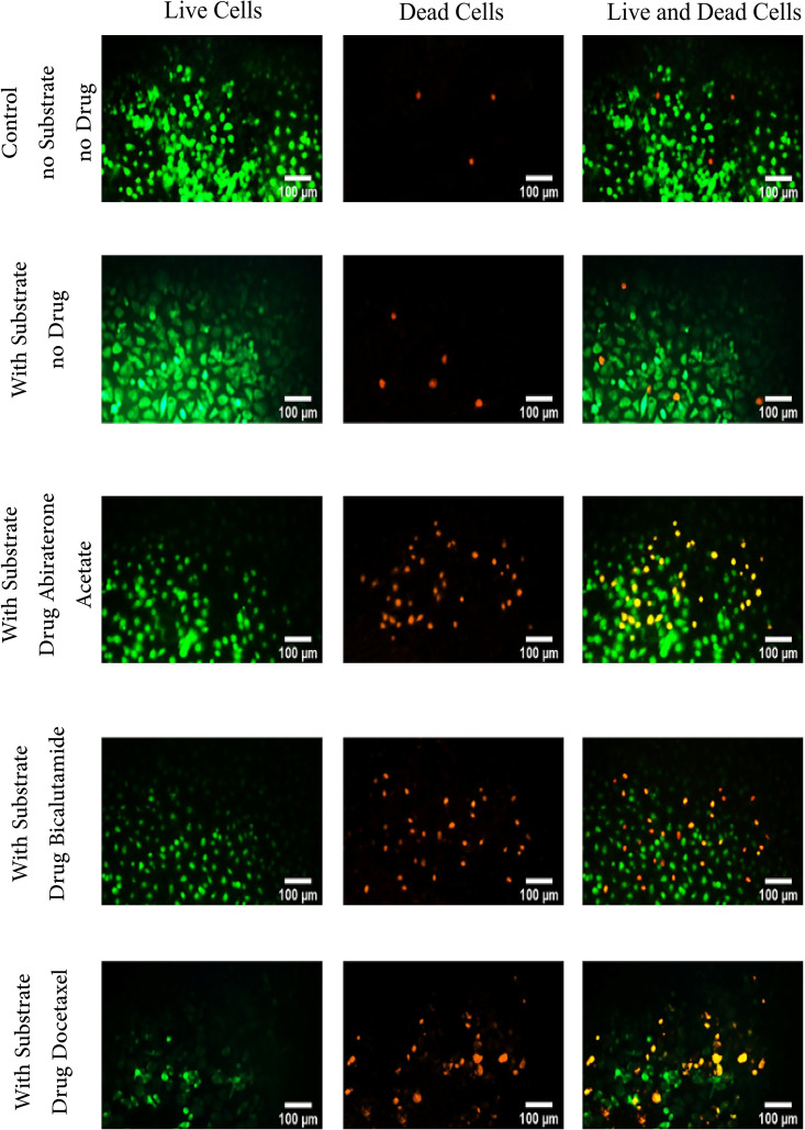 Figure 36