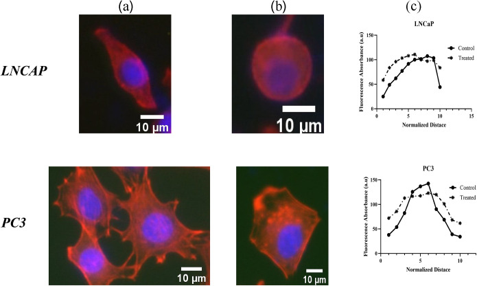Figure 42