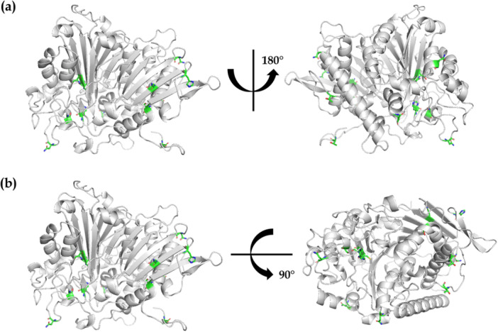 Figure 9