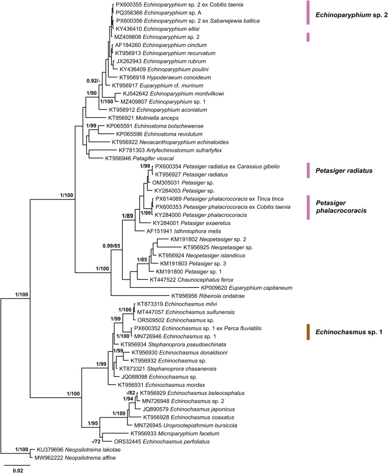 Figure 10