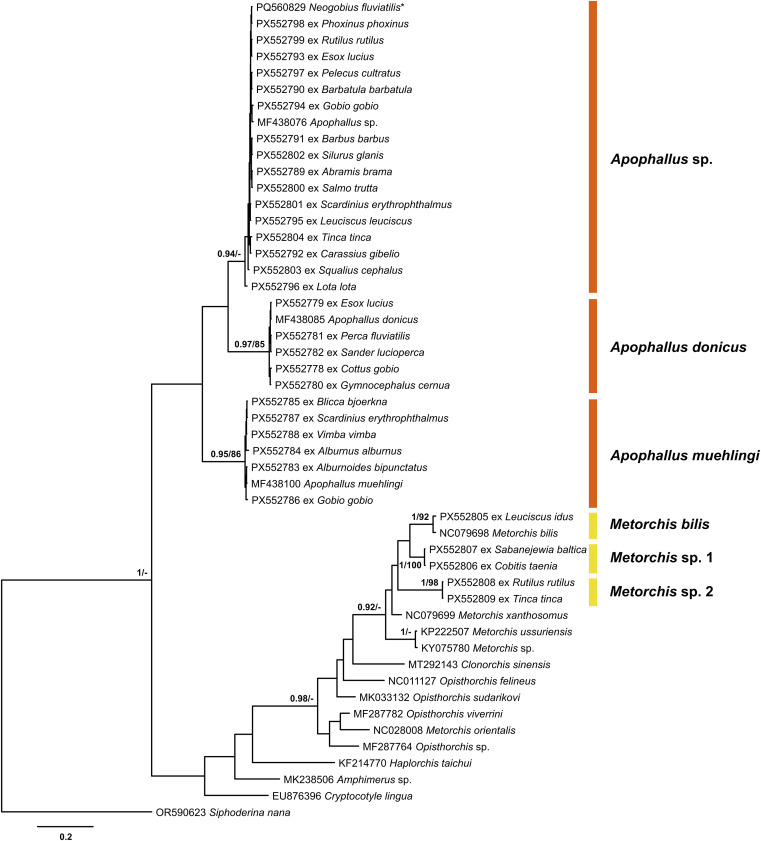 Figure 12