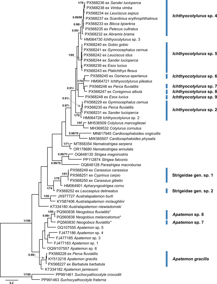 Figure 13