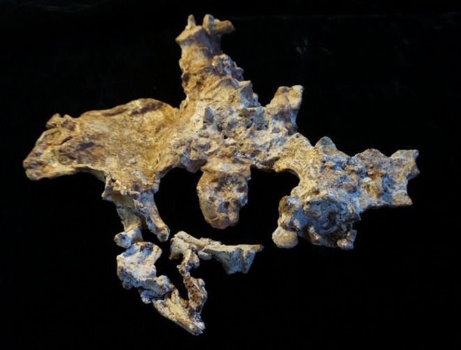 Figure 5