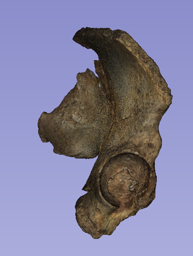 Figure 7