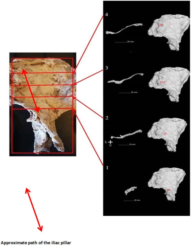 Figure 10