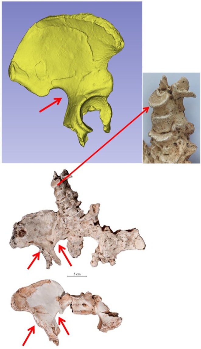 Figure 11