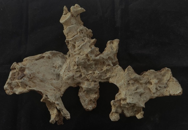 Figure 12