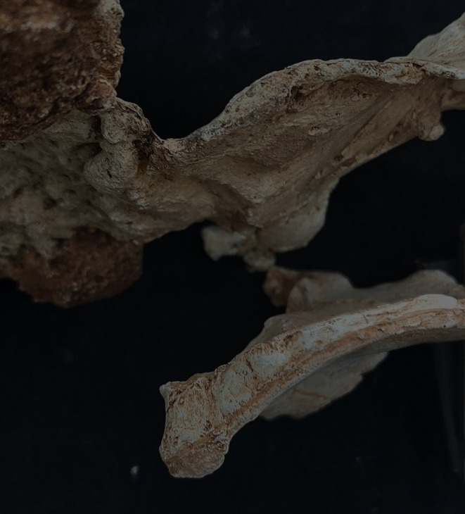 Figure 13
