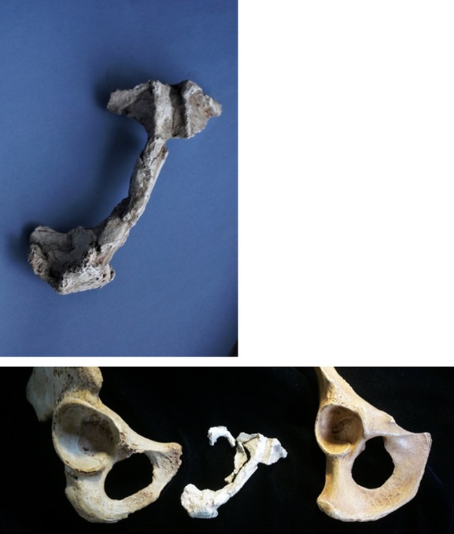 Figure 19