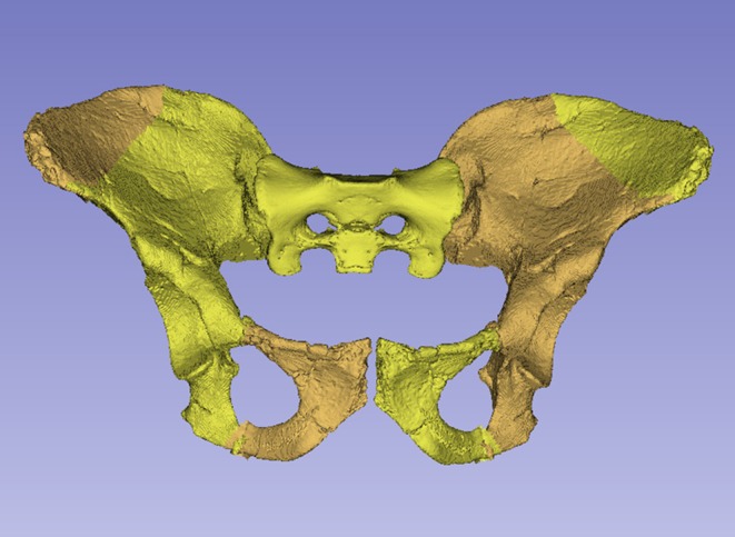Figure 20