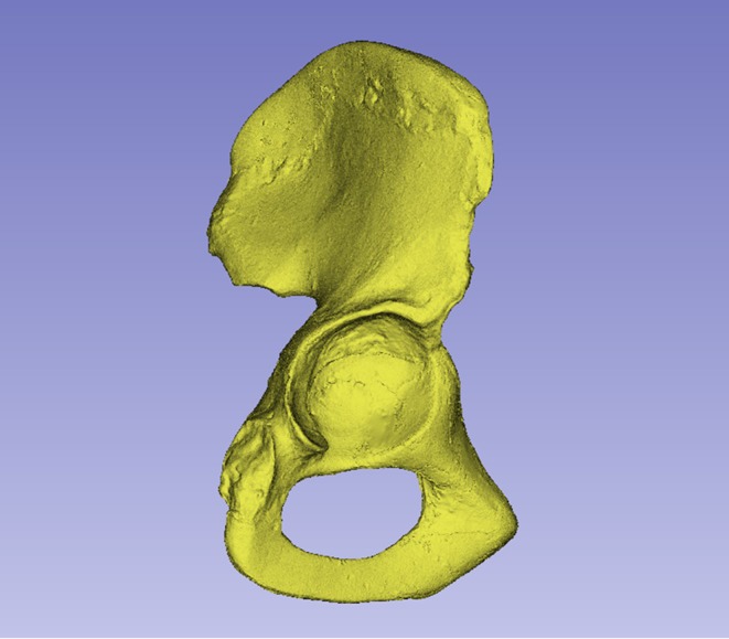 Figure 21