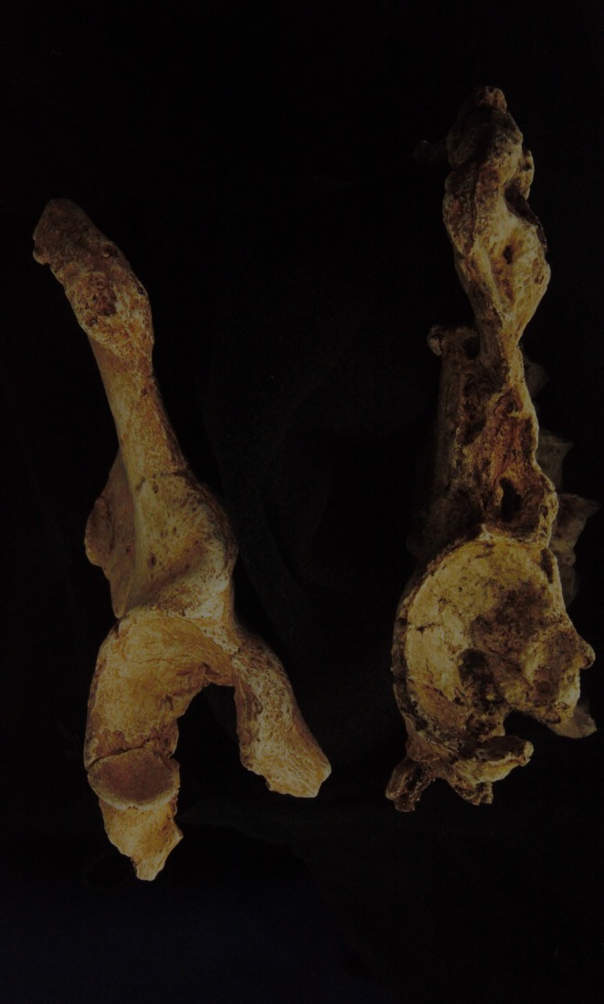 Figure 22