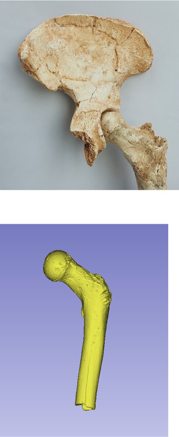 Figure 23