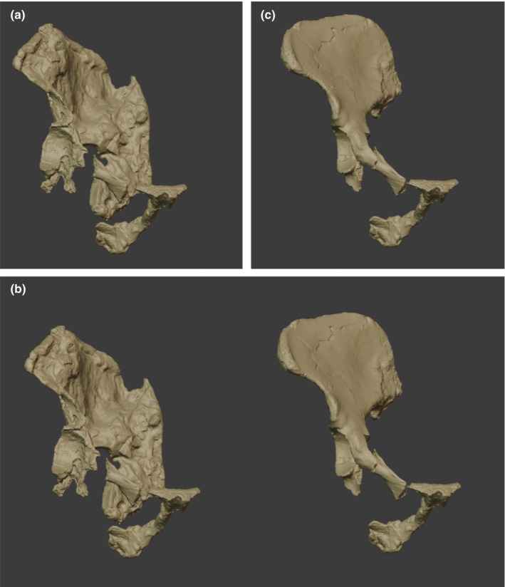 Figure 24