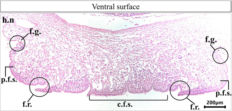 Figure 10