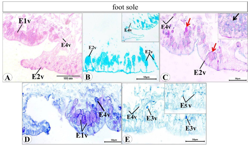 Figure 13