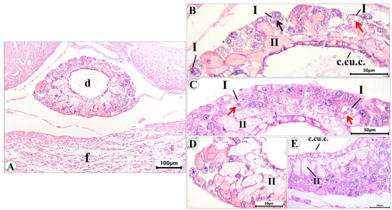 Figure 14