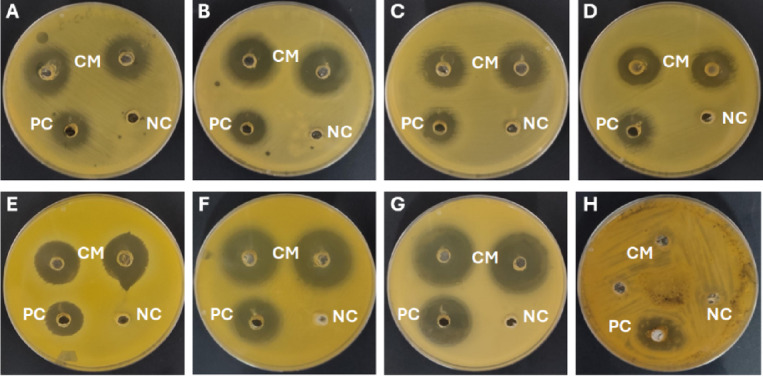 Figure 16