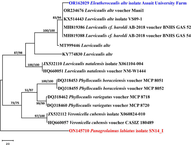Figure 6