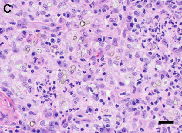 Figure 15