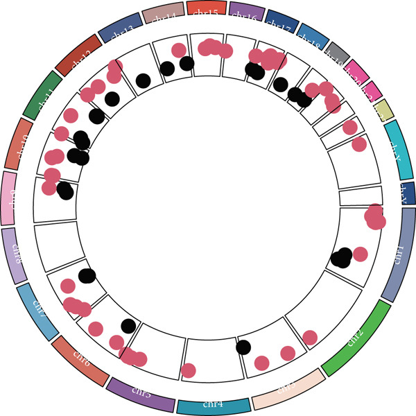 Figure 14