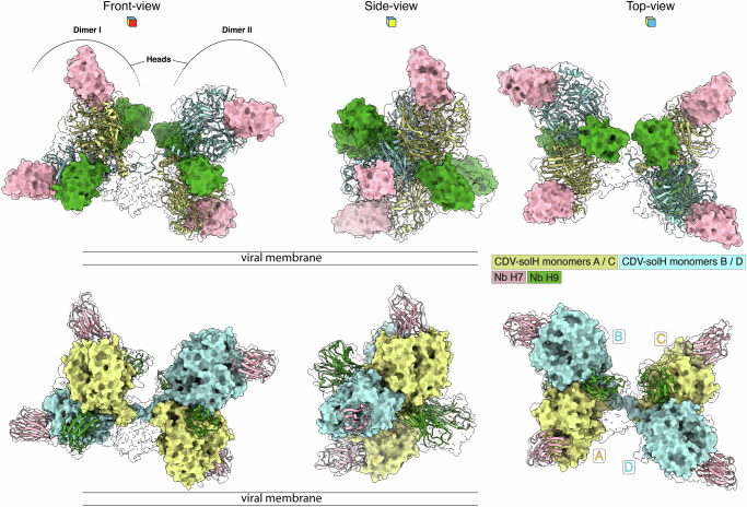 Figure 2