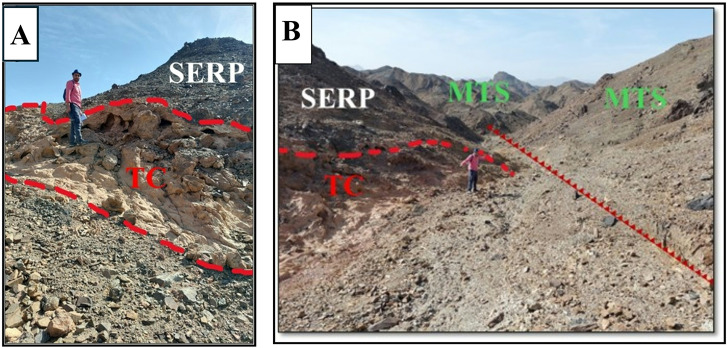 Figure 12