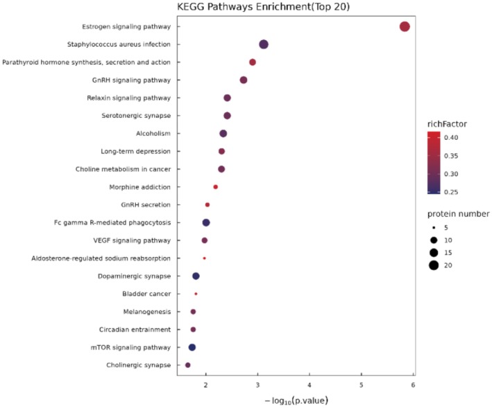 FIGURE 3