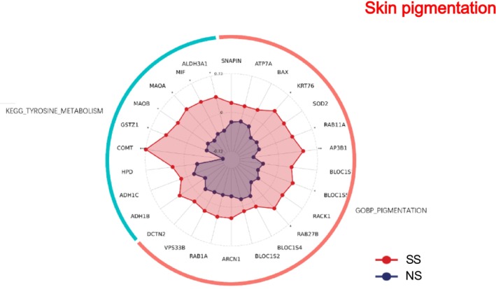 FIGURE 12
