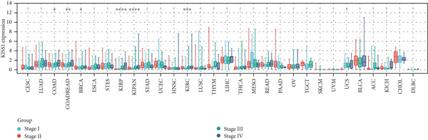 Figure 30