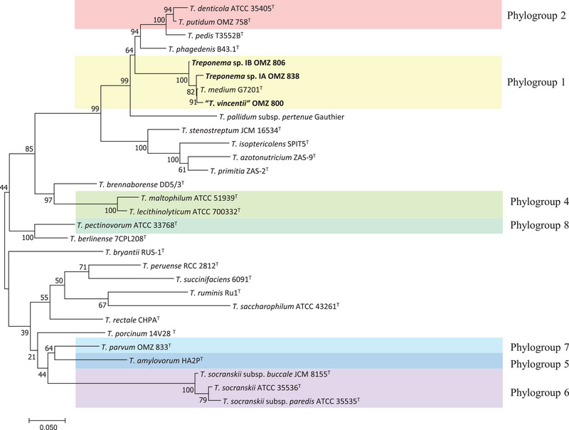 FIGURE 2