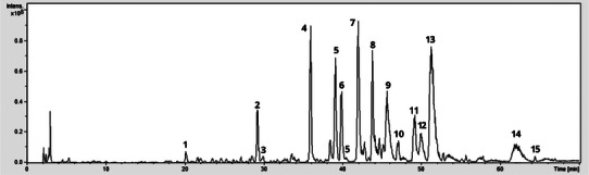 FIGURE 1