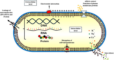 FIGURE 6