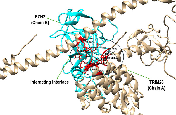 FIGURE 2