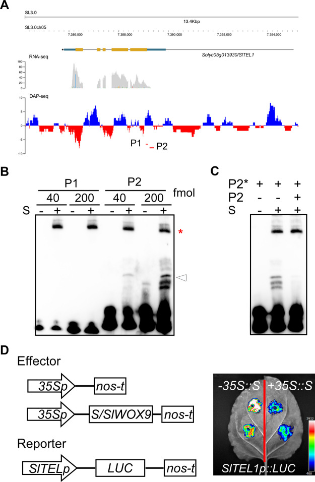Figure 9
